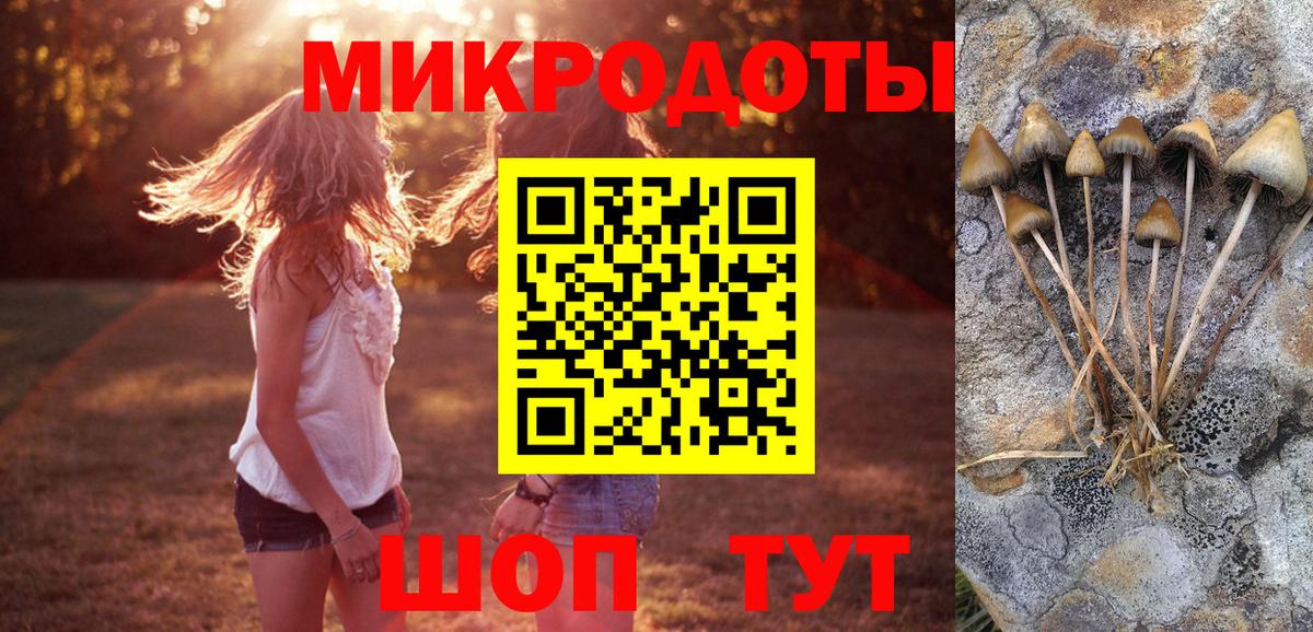 где купить   Вход с VPN  Родники  Галлюциногенные грибы GOLDEN TEACHER 
