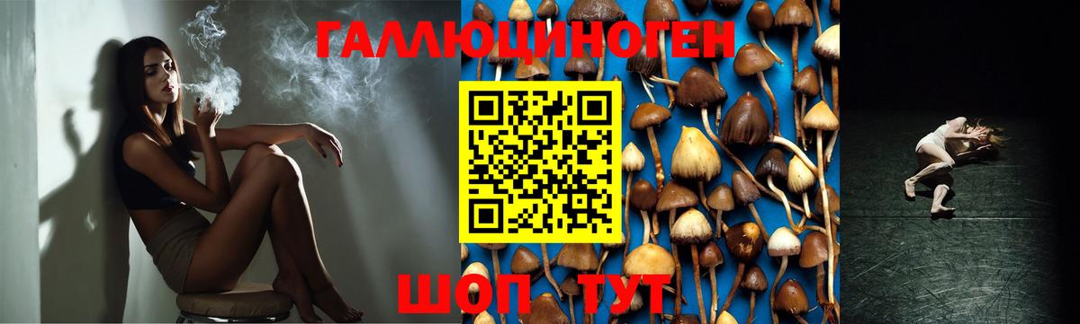 Псилоцибиновые грибы Magic Shrooms Родники